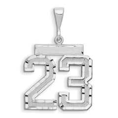 14kw Large Brushed Diamond-cut Number 23 Charm