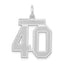 Medium Number 40 Charm in 14K White Gold, Satin - Sophia Jewelers