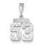 14K White Gold Small Diamond-cut Number 53 Charm