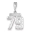 14K White Gold Small Diamond-cut Number 79 Charm