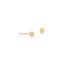 Polished Ball Stud Earrings in 14K Yellow Gold, 3mm