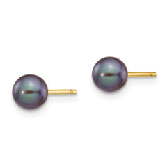 14K 5-6mm Black Round Freshwater Cultured Pearl Stud Post Earrings