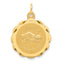 14K Swimming Disc Charm