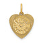 14K Special Sister Charm