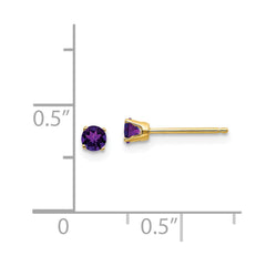 14k 3mm February/Amethyst Post Earrings