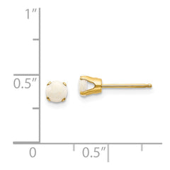 14k 4mm October/Opal Post Earrings