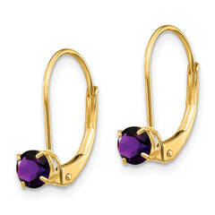 14K Amethyst Earrings February