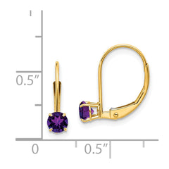 14k Amethyst Earrings - February