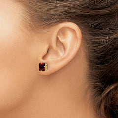 14k 7mm PrinceSterling Silver Cut Garnet Earrings
