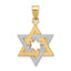 14K Two-Tone Star Of David Pendant