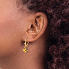 14k Citrine Round Leverback Earring