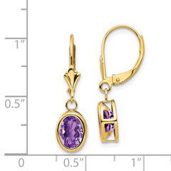 14k 8x6mm Oval Amethyst Leverback Earrings