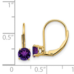 14k 5mm Amethyst Leverback Earrings