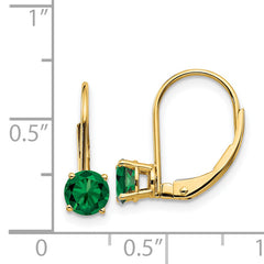 14k 5mm Mount St. Helens Leverback Earrings