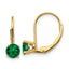 14k 5mm Mount St. Helens Leverback Earrings