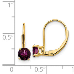 14k 5mm Rhodolite Garnet Leverback Earrings