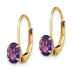 14k 6x4mm Oval Amethyst Leverback Earrings
