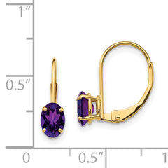 14k 6x4mm Oval Amethyst Leverback Earrings