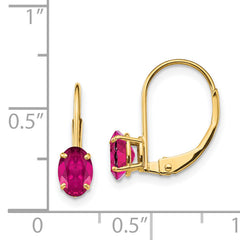 14k 6x4mm Oval Created Ruby Leverback Earrings