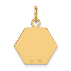 14K Red Enamel Medical Jewelry Pendant