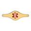 14k Red Enamel Medical Jewelry ID Plate