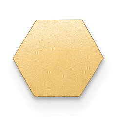 14K Non-enameled Attachable Medical Emblem Charm