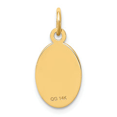 14K Non-enameled Medical Jewelry Pendant