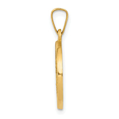 14K Polished and Satin Sacred Heart of Jesus Medal Hollow Pendant