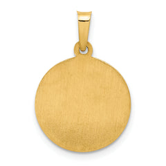 14K Polished and Satin Sacred Heart of Jesus Medal Hollow Pendant