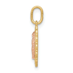 14K Two-tone Guadalupe Pendant