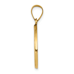 14K Polished and Satin St John Baptist Medal Hollow Pendant