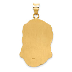 14k Hollow Polished/Satin Large Jesus Medal