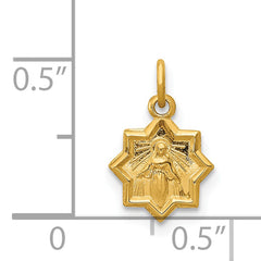 14K Blessed Mary Charm