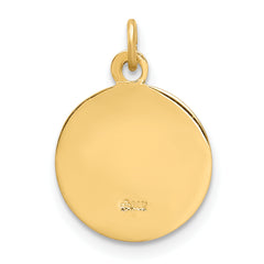 14K Holy Spirit Medal Charm