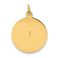 14K Saint Patrick Medal Charm