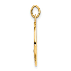 14K Our Lady of San Juan Medal Pendant