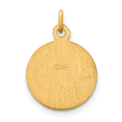 14K Saint Peter Medal Charm