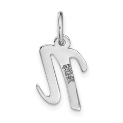 14K White Gold Small Script Initial N Charm