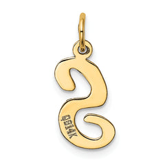 14K Medium Script Initial S Charm