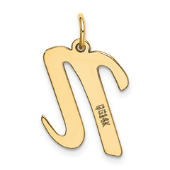 14K Large Script Initial N Charm