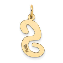14K Large Script Initial S Charm