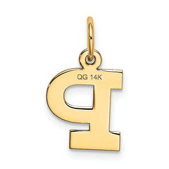 14K Small Block Initial P Charm