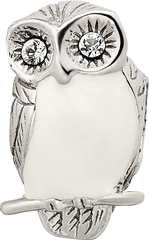 Sterling Silver 925 Wise Owl Bead with Enameled Accents Vintage-Inspired Design