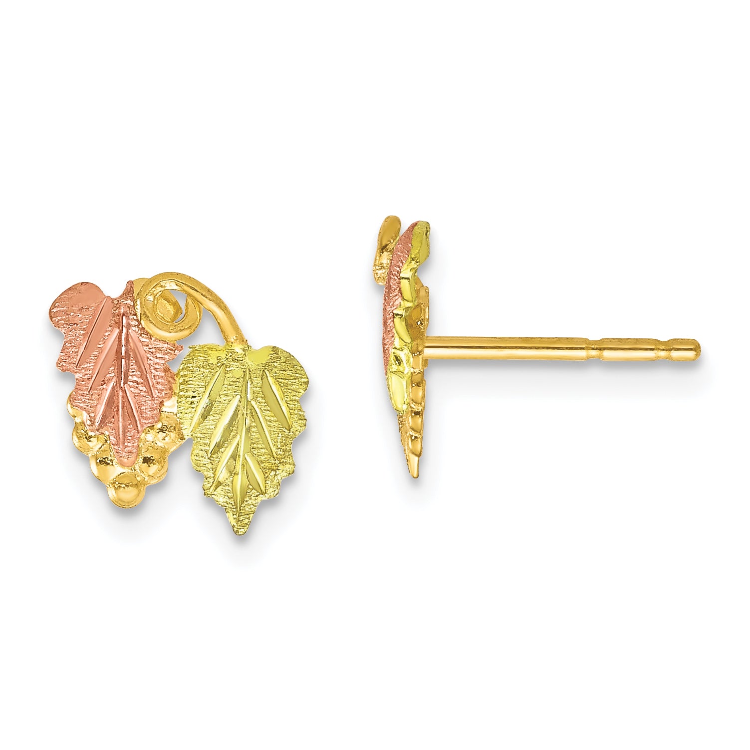 10k Tri-color Black Hills Gold Post Earrings Main image