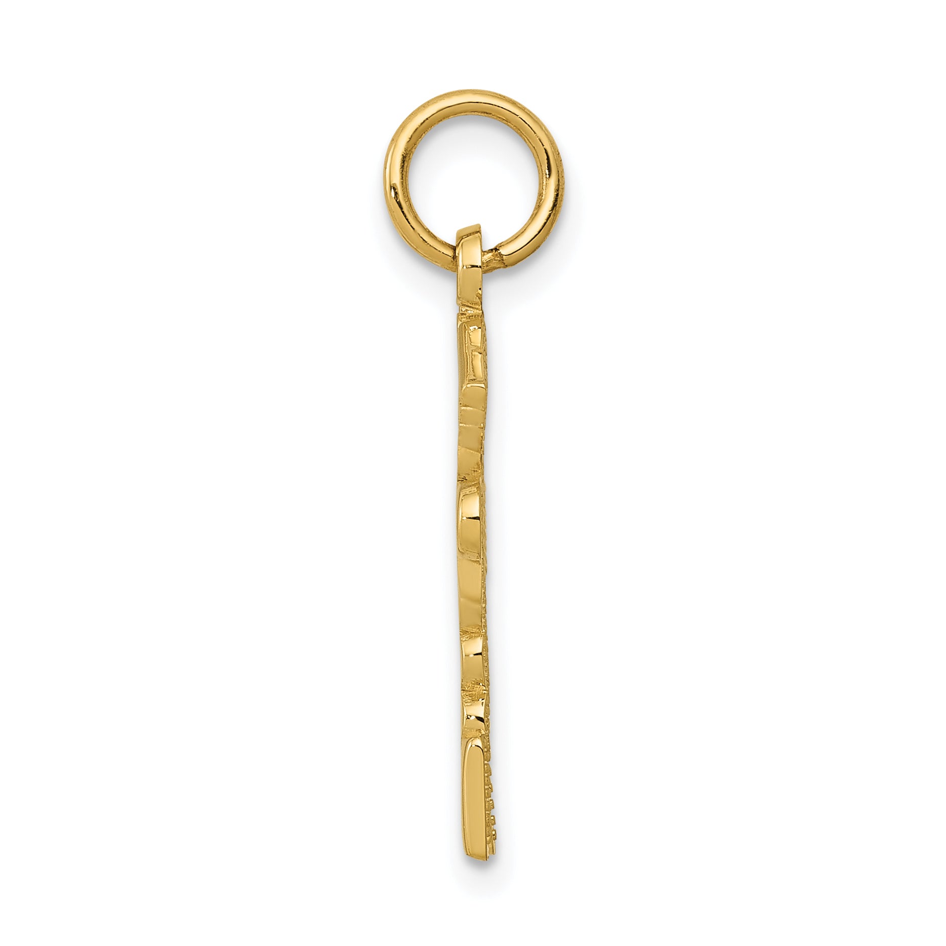 10k Registered Nurse Practitioner Charm Secondary image