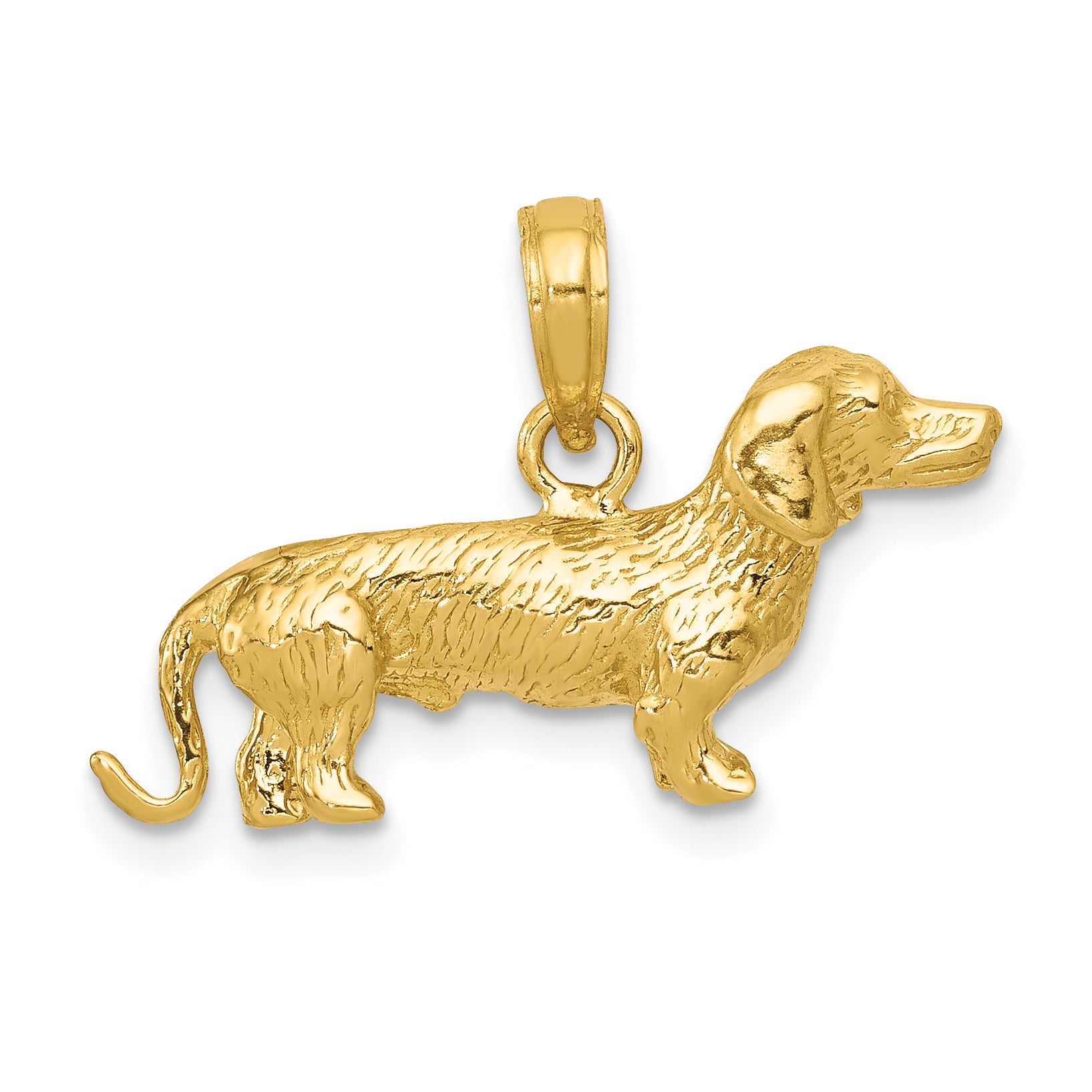 10k Solid Polished 3-Dimensional Wire Haired Dachshund Charm Main image