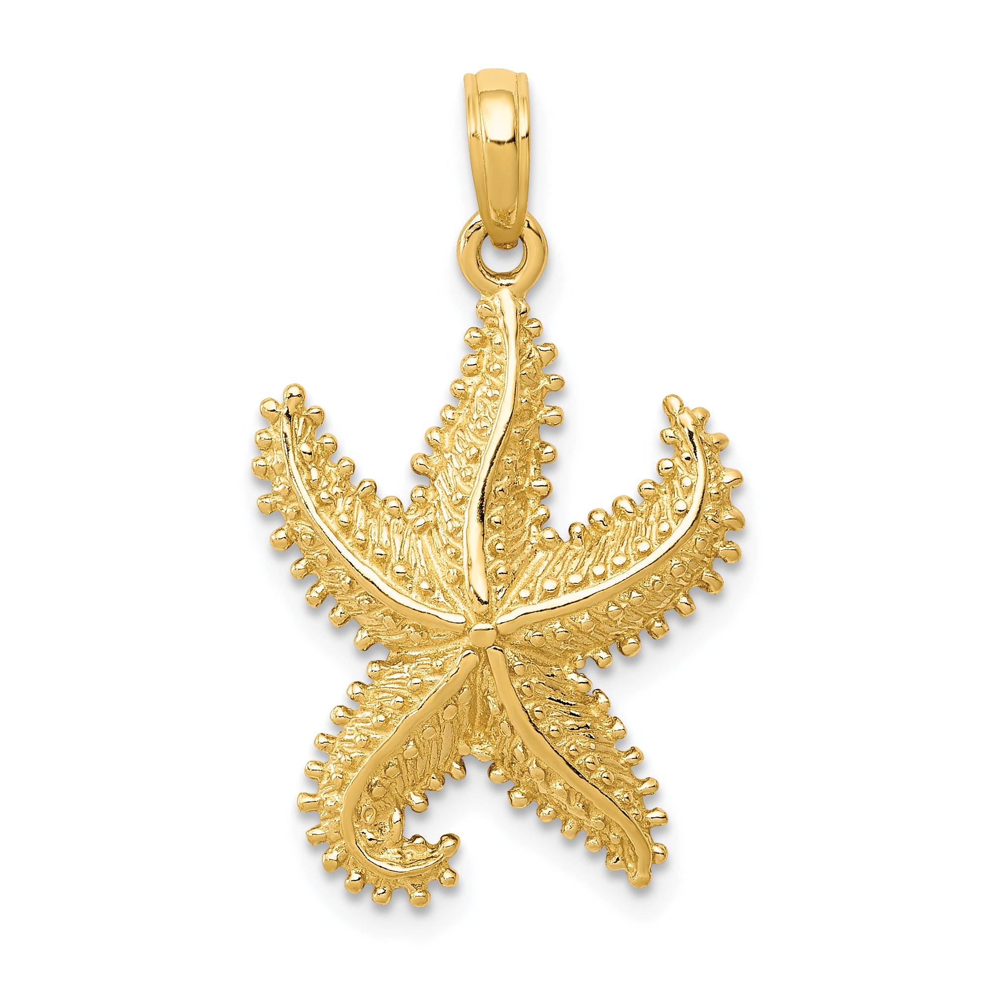 10K Polished Open-Backed Starfish Pendant Main image
