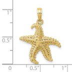 10k Polished Open-Backed Starfish Pendant
