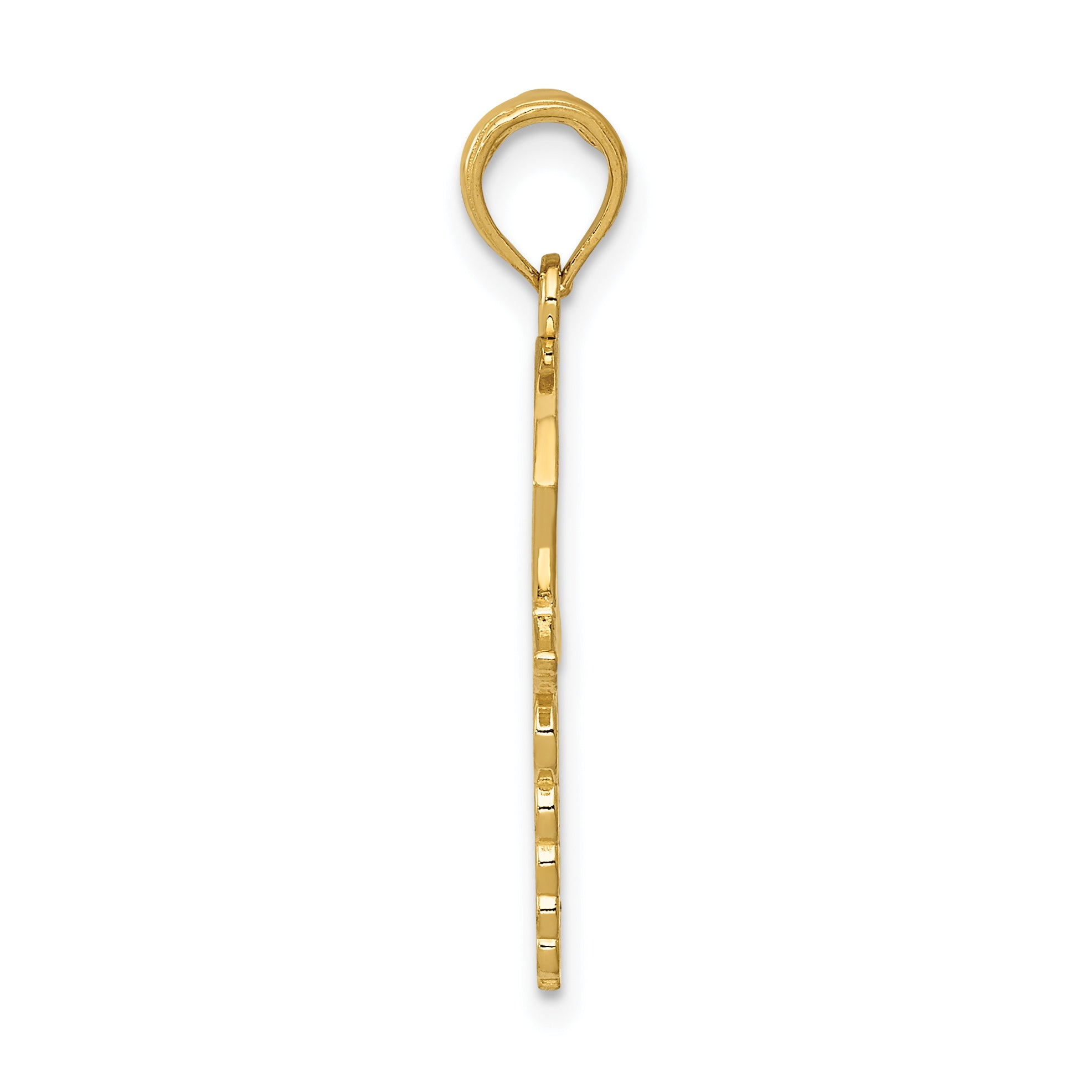 10k Caduceus w/Nurses Cap Pendant Secondary image