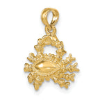 10K 3-D Cancer Zodiac Pendant